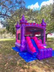 2 in 1 Vibrant Combo