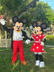 Minnie20y20micky201 1773980373 Micky & Minnie Mouse deluxe show