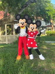 Micky & Minnie Mouse deluxe show