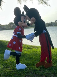 Minnie20y20micky203 1773980373 Micky & Minnie Mouse deluxe show